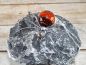 Preview: Spinne für die Wand - mit Ösen rot 20 cm / Metall