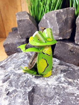 Frosch mit Banjo - musikalische Deko für Ihren Garten / Metall