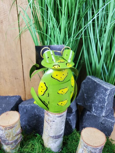 Frosch XL mit Buch - Gesangsfrosch 16 cm / Metall